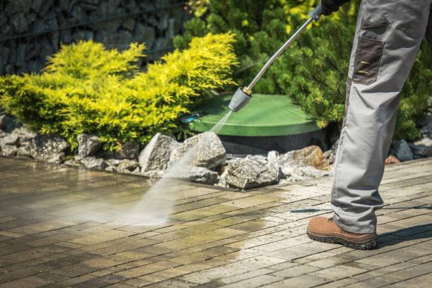 Best Roof Washing  in Fenton, MI