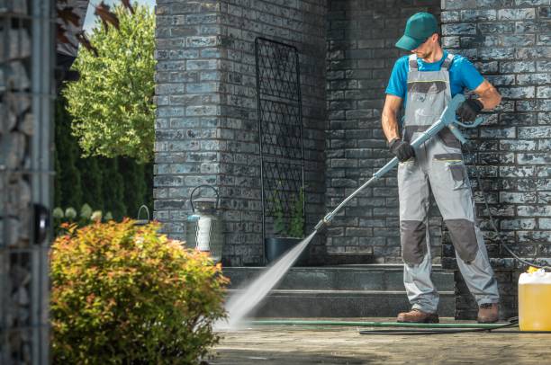 Best Rust Removal  in Fenton, MI