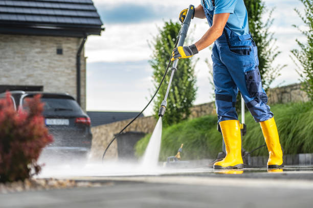 Best Sidewalk and Walkway Cleaning  in Fenton, MI